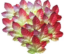 20 feuilles végétales papier