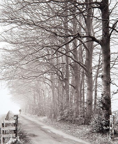 Photo 1952 dirt road - photo:1952,