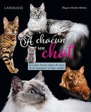 A chacun son chat: Les plus