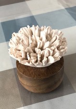 fleur d’argile Sur Socle En