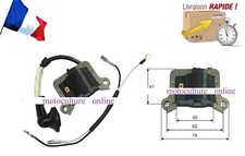 Bobine d'allumage pour
