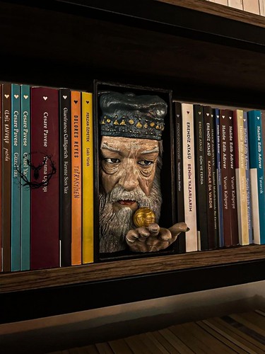 Insecte bibliothèque