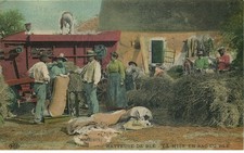 AGRICULTURE  BATTEUSE DE BLE  la mise en sac du blé