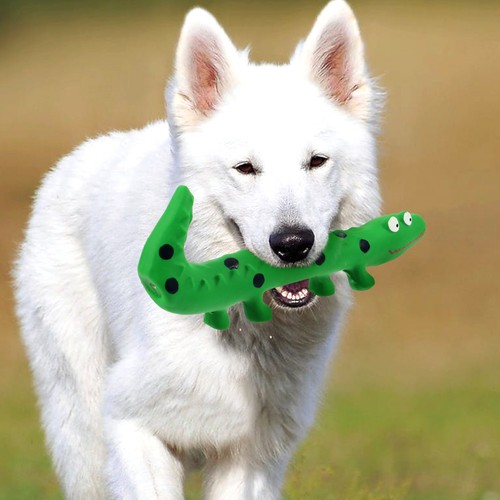 Jouet interactif pour chien - interactif,