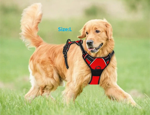 Harnais chien anti traction - harnais, anti-traction