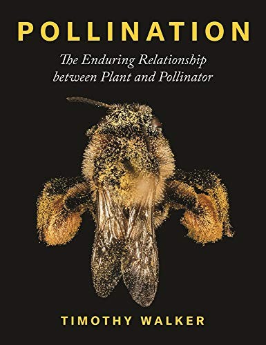 Pollination the enduring - the,