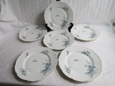 6 assiettes plates porcelaine