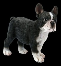 Chiens Figurine - Bouledogue Français Chiot - Mignon Hundebaby Chiot Déco