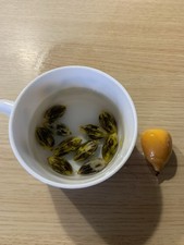 10x Graines Butia Yatay 