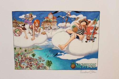 Limité one piece sky - piece,