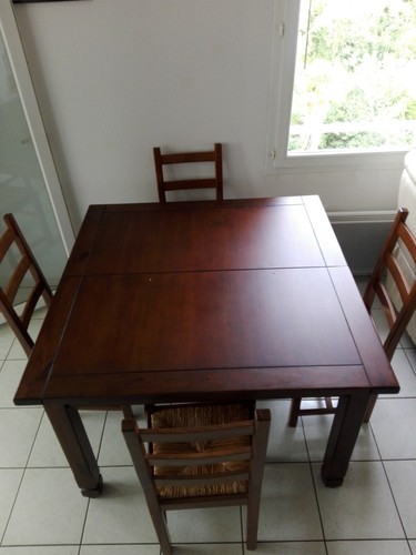 Table séjour rallonges - table,