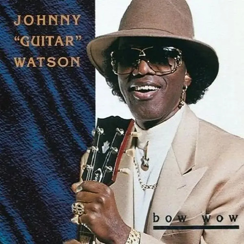Johnny guitar watson - guitar, wow