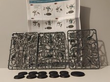 10 Termagants + nuée