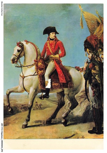 Aryp13 0873 napoleon - aryp13-0873-napoleon,