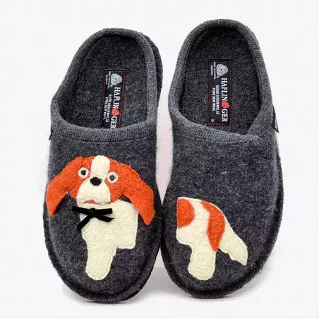 Haflinger spaniel gris - haflinger,