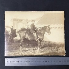 Grande Photographie Albuminé Daté 1884 Équitation Pur Sang Cheval Fleur De Lys