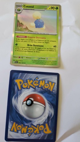 Carte pokemon holo - (carte, l