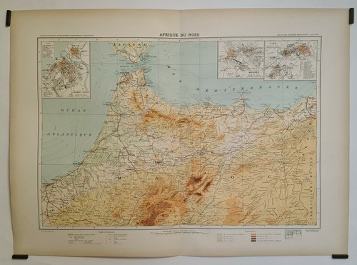 Bergelin afrique du nord - bergelin,