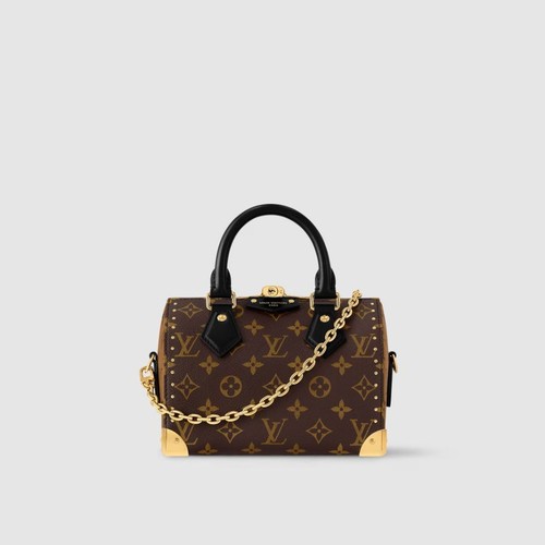 Louis vuitton sac speedy trunk - vuitton,