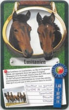 Carte Top Trumps - Chevaux ou Poneys - Lusitanien