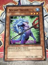 Carte YU GI OH SOLDAT TRITON RGBT-FR034 x 2