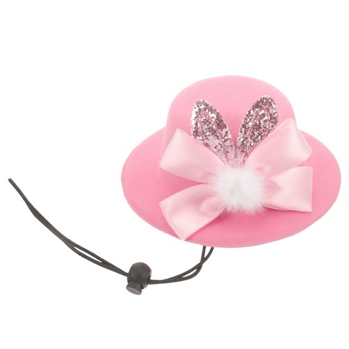 Accessoires pour chiens - accessoires,