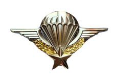 VERITABLE INSIGNE BREVET PARACHUTISTE REGLO BARRETTE NEUF ARMEE PARA TAP LEGION