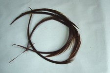 4 x Biot quills d'oie MARRON