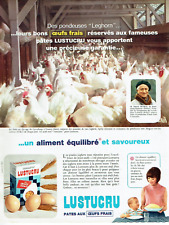 publicité Advertising 0423  1965  Lustucru poules pondeuses Leghorn  M.Petrus