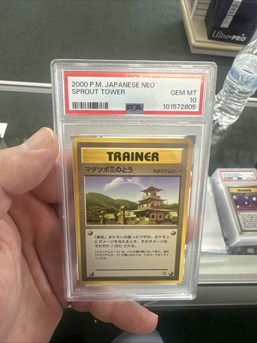 2000 pokemon japanese - pokemon, neo