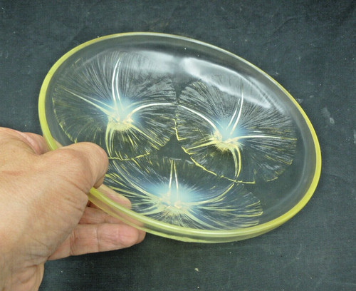 René lalique coupe volubilis - coupe,
