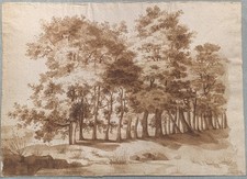 Paysage forestier, lavis