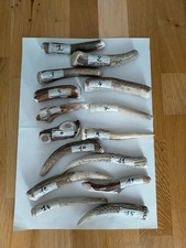 Bois a mastiqué pour chiens