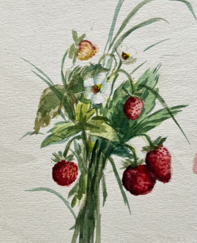 Feuilles fraises fleuries - de,
