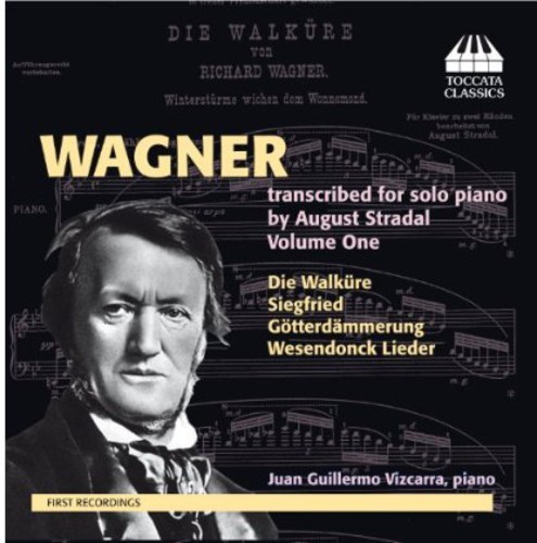 Juan guillermo vizca wagner - guillermo,