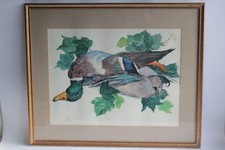 Aquarelle originale Jean Edmond BURNAND Canard (52538)