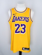 LOS ANGELES LAKERS LEBRON