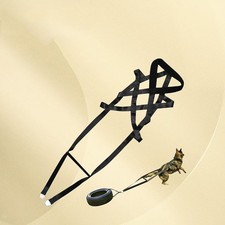 Harnais de Traction pour Chien