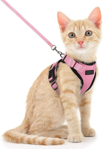 Harnais pour chat réglable - harnais,