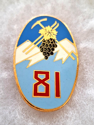 Insigne militaire 81 - militaire, "