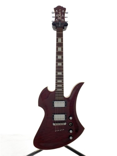 Rich mockingbird - b.c.rich,