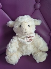 DOUDOU PELUCHE HISTOIRE D'OURS