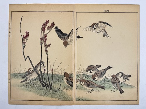 Estampe japonaise sur - , bois