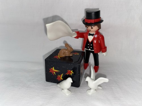 Playmobil magicien caisse - magicien,