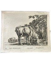 Stefano de La Bella, Vache