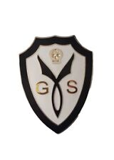 Insigne émaillé Groupe de Sécurité de la Milice REPRODUCTION