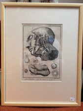 Ancien Estampe Gravure XIXème