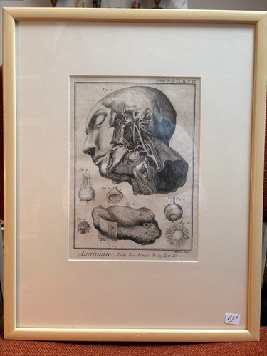Ancien estampe gravure - ancien,