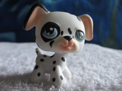 Petshop dog dalmatien - petshop, 44