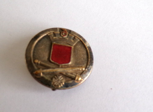 Insigne militaire - insigne, 15°